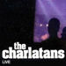 The Charlatans in Manchester